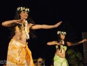 Chief's Luau Chief